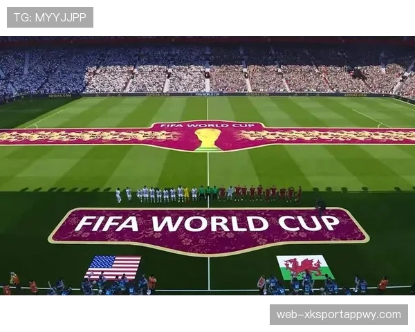 世界杯美国队D组对手战术打法解析